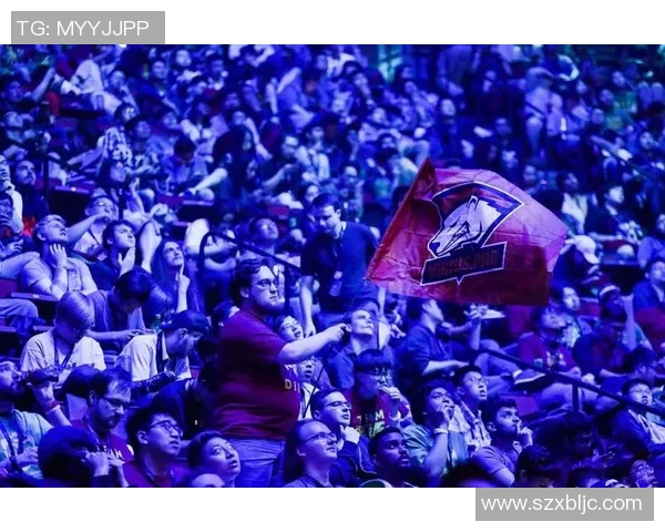 ti7每日各队比赛数-Ti7每日各队比赛数，探寻赛场上的激烈对决-ti7每日各队比赛数