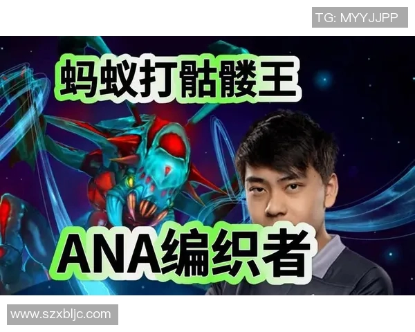dota蚂蚁比赛定位-Dota蚂蚁比赛的定位与影响-dota蚂蚁比赛定位